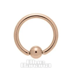 Blue Banana Plasma Gold 2.4mm BCR (Gold) -Alternative Clothing Store 100285 b