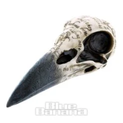 Nemesis Now Edgars Raven Skull (White/Black)