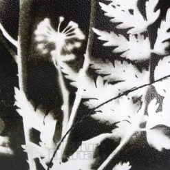 Dr. Martens Dr Martens 1460 Phantom Flower Boots (Black/White) -Alternative Clothing Store 12027c7f86f948dde1223d873708