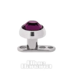 Blue Banana Polished Titanium 5mm Microdermal (Amethyst)