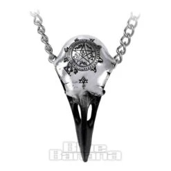 Alchemy Gothic Volvan Ravenskull Pendant Necklace (Silver)