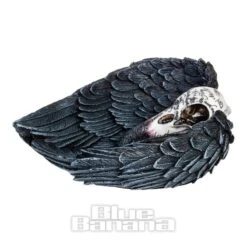 Nemesis Now Edgars Raven Trinket Holder (17cm) -Alternative Clothing Store 140010 d v2