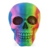 Nemesis Now Rainbow Skull (15.5cm)