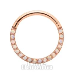Blue Banana Rose Gold Small Gem 1.2mm Hinged Segment Ring (Half Opal)
