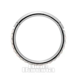 Blue Banana Surgical Steel 1.2mm Hinged Segment Ring (Half Opal)