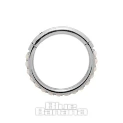 Blue Banana Surgical Steel 1.2mm Hinged Segment Ring (Half Opal) -Alternative Clothing Store 142647 ss b
