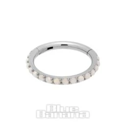 Blue Banana Surgical Steel 1.2mm Hinged Segment Ring (Half Opal) -Alternative Clothing Store 142647 ss c
