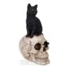 Nemesis Now Familiar Fate Cat & Skull Figurine (24.3CM)
