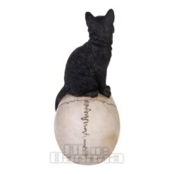 Nemesis Now Familiar Fate Cat & Skull Figurine (24.3CM) -Alternative Clothing Store 143201 b