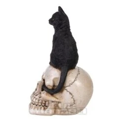 Nemesis Now Familiar Fate Cat & Skull Figurine (24.3CM) -Alternative Clothing Store 143201 c