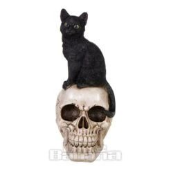 Nemesis Now Familiar Fate Cat & Skull Figurine (24.3CM) -Alternative Clothing Store 143201 d