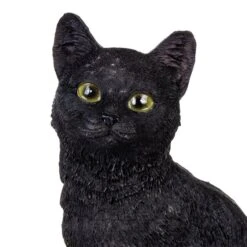 Nemesis Now Familiar Fate Cat & Skull Figurine (24.3CM) -Alternative Clothing Store 143201 e