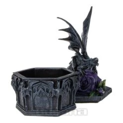Nemesis Now Dragon Trinket Box (25 CM) -Alternative Clothing Store 144618 f