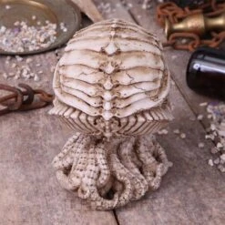 Nemesis Now Cthulhu Skull Figurine (20cm) -Alternative Clothing Store 146587 i