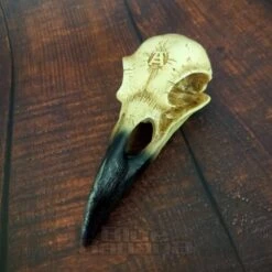 Alchemy Gothic Corvus Alchemica Figurine -Alternative Clothing Store 20220622 123343201