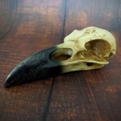 Alchemy Gothic Corvus Alchemica Figurine -Alternative Clothing Store 20220622 123357201
