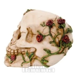 Nemesis Now Rose Beyond Skull Figurine (15cm) -Alternative Clothing Store 82488 b v2