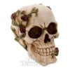 Nemesis Now Rose Beyond Skull Figurine (15cm)