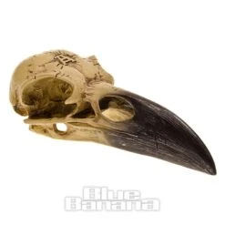 Alchemy Gothic Corvus Alchemica Figurine -Alternative Clothing Store 88328 c