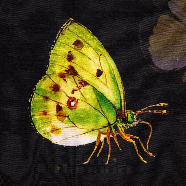 Bleeding Heart Butterfly Jacket (Black) 5 Bleeding Heart Butterfly Jacket (Black) - Image 5