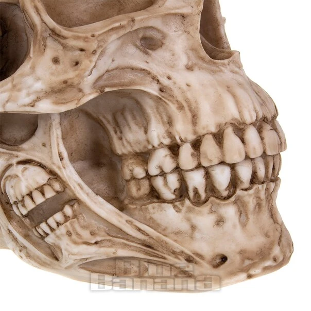Nemesis Now Skull Of Skulls (18 CM) 7 Nemesis Now Skull Of Skulls (18 CM) - Image 7